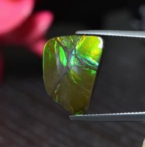 6.67 ct Multicolor Ammolite Stone, Natural Ammolite in Shark Fin Cabochon Shape for Sale