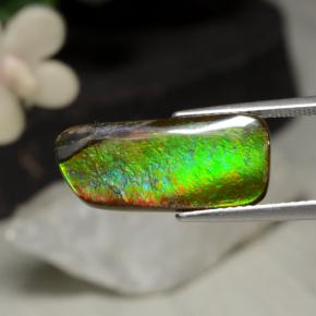 5.29 ct Multicolor Ammolite Stone, Natural Ammolite in Fancy Cabochon Shape for Sale