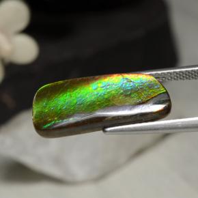 Ammolite Gemstone in 19.5 x 8.8 mm Size for Sale, Ammolite Stone in Multicolor Color