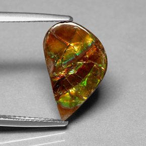 3.59 ct Multicolor Ammolite Stone, Natural Ammolite in Fancy Cabochon Shape for Sale