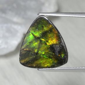 6.1ct Trillion Cabochon Multicolor Ammolite Gem for sale 6.1ct Trillion Cabochon Multicolor Ammolite Gem (ID: 284804)