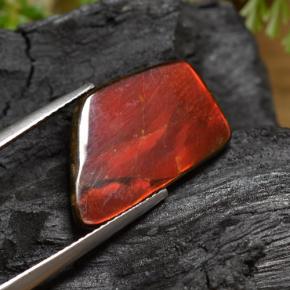 Ammolite Gemstone in 19 x 12.2 mm Size for Sale, Ammolite Stone in Multicolor Color