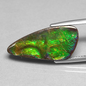6.97 ct Multicolor Ammolite Gemstone, Ammolite Gem in Fancy Cabochon Shape for Sale.
