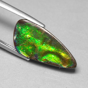 6.97 ct Multicolor Ammolite Stone, Natural Ammolite in Fancy Cabochon Shape for Sale