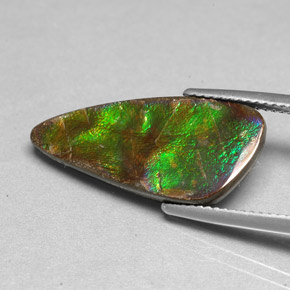 Ammolite Gemstone in 23.7 x 11.1 mm Size for Sale, Ammolite Stone in Multicolor Color