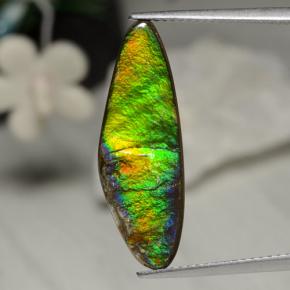 5.43 ct Multicolor Ammolite Gemstone, Ammolite Gem in Shark Fin Cabochon Shape for Sale.