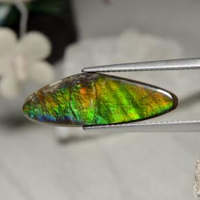 5.43 ct Multicolor Ammolite Stone, Natural Ammolite in Shark Fin Cabochon Shape for Sale