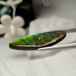 Ammolite Gemstone in 24.6 x 8.5 mm Size for Sale, Ammolite Stone in Multicolor Color