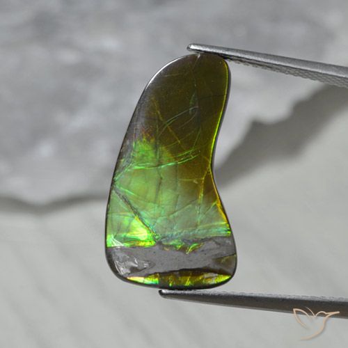 7.43 ct Fancy Ammolite, 22.8 x 12 mm From Canada, Photo A