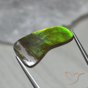7.43 ct Multicolor Ammolite Stone, Natural Ammolite in Fancy Cabochon Shape for Sale