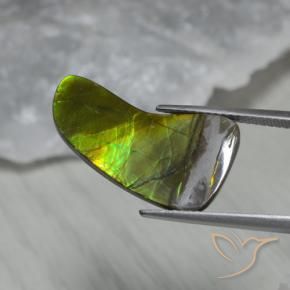 Ammolite Gemstone in 22.8 x 12 mm Size for Sale, Ammolite Stone in Multicolor Color
