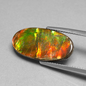 Ammolite Gemstone in 20.9 x 10.8 mm Size for Sale, Ammolite Stone in Multicolor Color