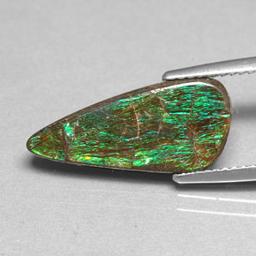 3.88 ct Multicolor Ammolite Gemstone, Ammolite Gem in Fancy Cabochon Shape for Sale.
