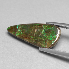 Ammolite Gemstone in 19.3 x 8.8 mm Size for Sale, Ammolite Stone in Multicolor Color