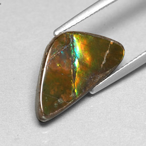 Ammolite Gemstone in 17.8 x 9.6 mm Size for Sale, Ammolite Stone in Multicolor Color