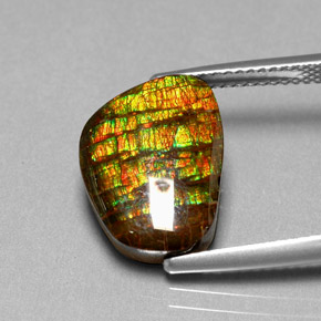 6.74 ct Multicolor Ammolite Gemstone, Ammolite Gem in Fancy Cabochon Shape for Sale.