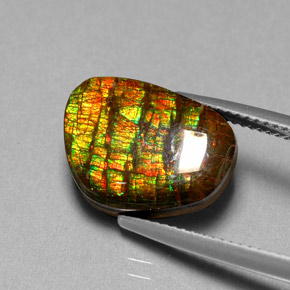Ammolite Gemstone in 14.9 x 10.9 mm Size for Sale, Ammolite Stone in Multicolor Color