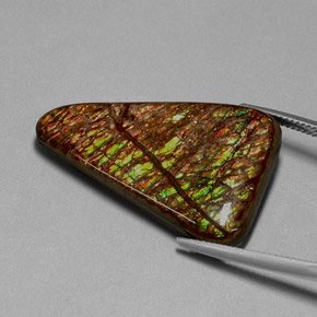 31.62 ct Multicolor Ammolite Gemstone, Ammolite Gem in Fancy Cabochon Shape for Sale.