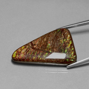 31.62 ct Multicolor Ammolite Stone, Natural Ammolite in Fancy Cabochon Shape for Sale