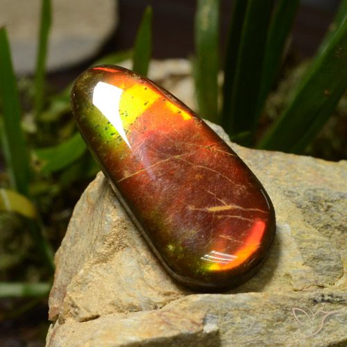 23.51ct Natural Multicolor Ammolite, Fancy, Opaque
