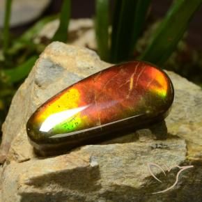 Ammolite Gemstone in 33.5 x 15.4 mm Size for Sale, Ammolite Stone in Multicolor Color