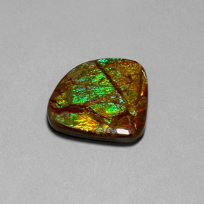 18.68 ct Multicolor Ammolite Stone, Natural Ammolite in Fancy Cabochon Shape for Sale