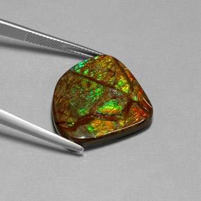 Ammolite Gemstone in 24.6 x 22.3 mm Size for Sale, Ammolite Stone in Multicolor Color