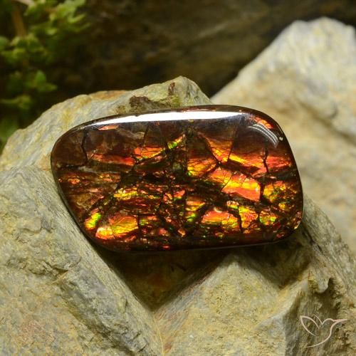 17.42ct Natural Multicolor Ammolite, Fancy, Opaque