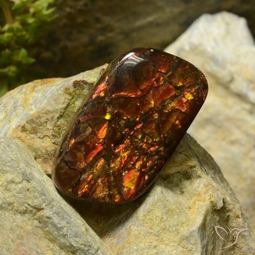 17.42 ct Multicolor Ammolite Stone, Natural Ammolite in Fancy Cabochon Shape for Sale