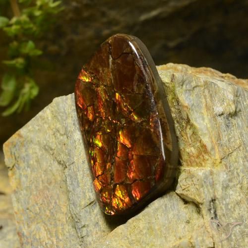 Ammolite Gemstone in 26.3 x 14.7 mm Size for Sale, Ammolite Stone in Multicolor Color