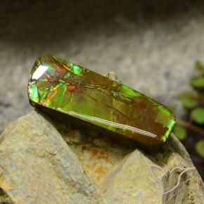 Ammolite Gemstone in 32.3 x 11.8 mm Size for Sale, Ammolite Stone in Multicolor Color