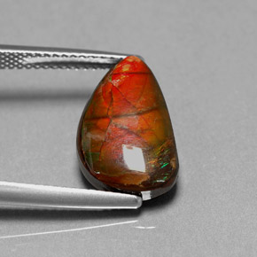 4.85 ct Multicolor Ammolite Stone, Natural Ammolite in Fancy Cabochon Shape for Sale