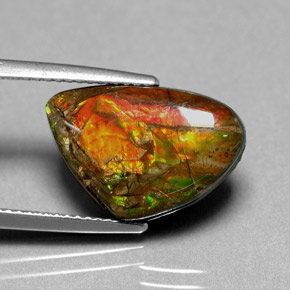 5.71 ct Multicolor Ammolite Stone, Natural Ammolite in Fancy Cabochon Shape for Sale