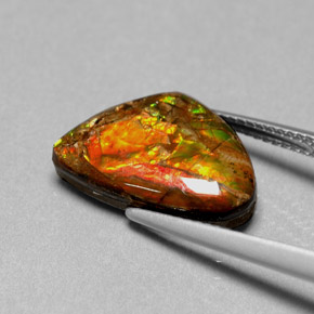 Ammolite Gemstone in 16.5 x 11.1 mm Size for Sale, Ammolite Stone in Multicolor Color