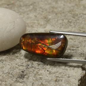 6.70 ct Multicolor Ammolite Stone, Natural Ammolite in Shark Fin Cabochon Shape for Sale