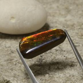 Ammolite Gemstone in 18.9 x 9.7 mm Size for Sale, Ammolite Stone in Multicolor Color