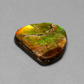 7.00 ct Multicolor Ammolite Gemstone, Ammolite Gem in Fancy Cabochon Shape for Sale.