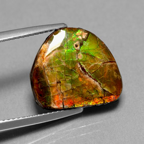 7.00 ct Multicolor Ammolite Stone, Natural Ammolite in Fancy Cabochon Shape for Sale