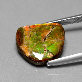 Ammolite Gemstone in 15.3 x 13.4 mm Size for Sale, Ammolite Stone in Multicolor Color