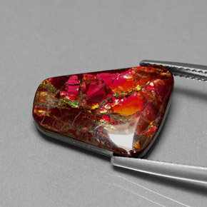 7.81 ct Multicolor Ammolite Gemstone, Ammolite Gem in Fancy Cabochon Shape for Sale.