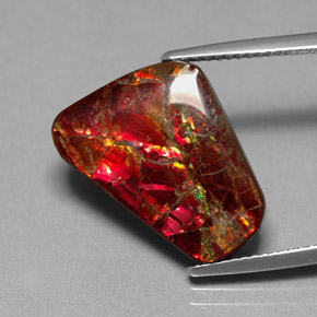 7.81 ct Multicolor Ammolite Stone, Natural Ammolite in Fancy Cabochon Shape for Sale