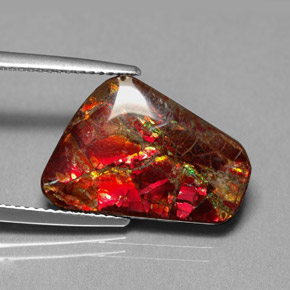 Ammolite Gemstone in 17.5 x 13.1 mm Size for Sale, Ammolite Stone in Multicolor Color