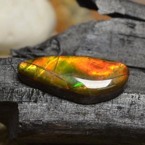 8.00 ct Multicolor Ammolite Stone, Natural Ammolite in Fancy Cabochon Shape for Sale