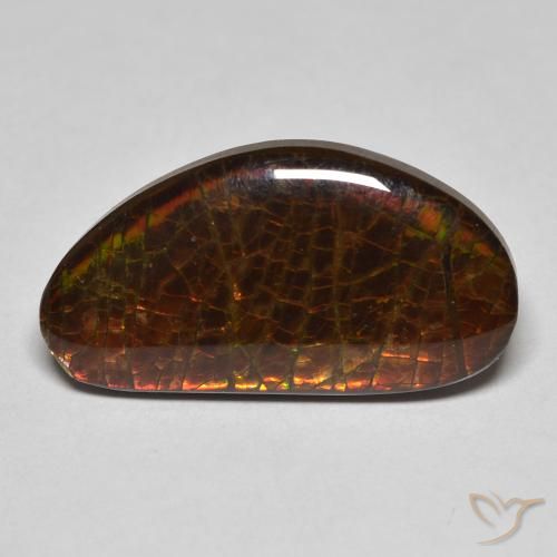 8.23 ct Fancy Ammolite, 21.5 x 11.5 mm From Canada, Photo A