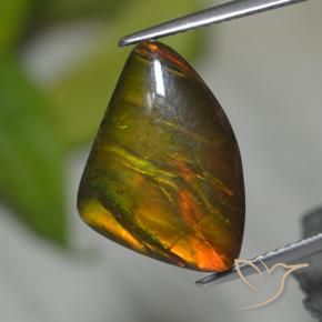 8.39 ct Multicolor Ammolite Stone, Natural Ammolite in Shark Fin Cabochon Shape for Sale