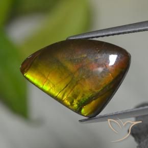 Ammolite Gemstone in 17.5 x 12.4 mm Size for Sale, Ammolite Stone in Multicolor Color
