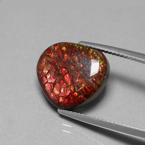 Ammolite Gemstone in 14.8 x 13.5 mm Size for Sale, Ammolite Stone in Multicolor Color