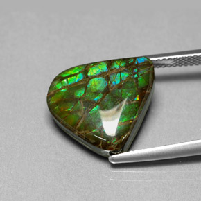 8.69 ct Multicolor Ammolite Gemstone, Ammolite Gem in Fancy Cabochon Shape for Sale.