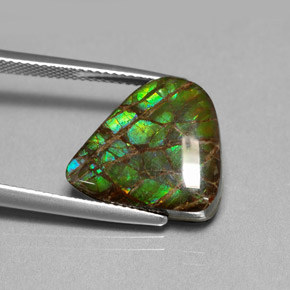 8.69 ct Multicolor Ammolite Stone, Natural Ammolite in Fancy Cabochon Shape for Sale