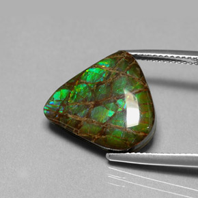 Ammolite Gemstone in 15.8 x 14.3 mm Size for Sale, Ammolite Stone in Multicolor Color